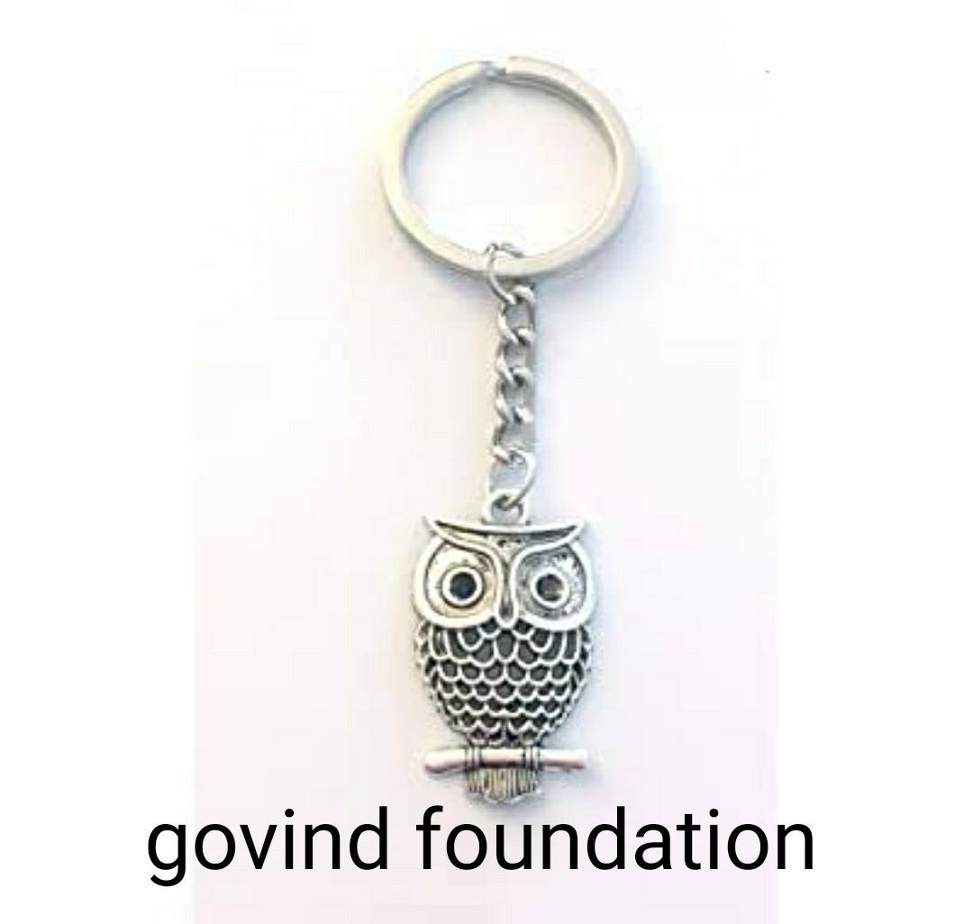 Silver owl keychain 25gm owl keychain in pure silver