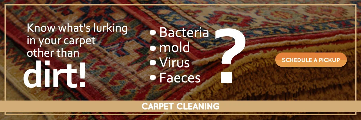 The 5 Most Common Carpet Stains and How to Remove Them