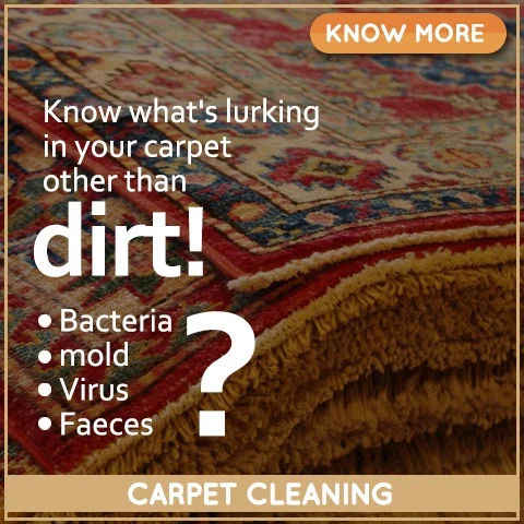 Carpet cleaning