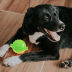 Slide image c5bd7b06656f49f889786f6ce2466fcc