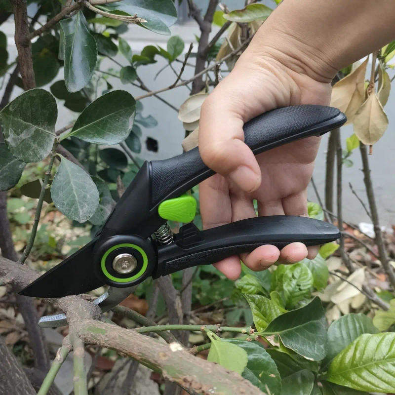 Description Picture 5 of itemLiTuiLi Pruning Shears Fruit Tree Garden Branch Shears SK5 Steel Gardening Pruning Shears Flower Pruning Branch Scissors