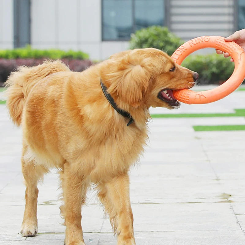 Description Picture 5 of itemDog Toys Pet Flying Disk Training Ring Puller Anti-Bite Floating Interactive Supplies Dog Toys Aggressive Chewing