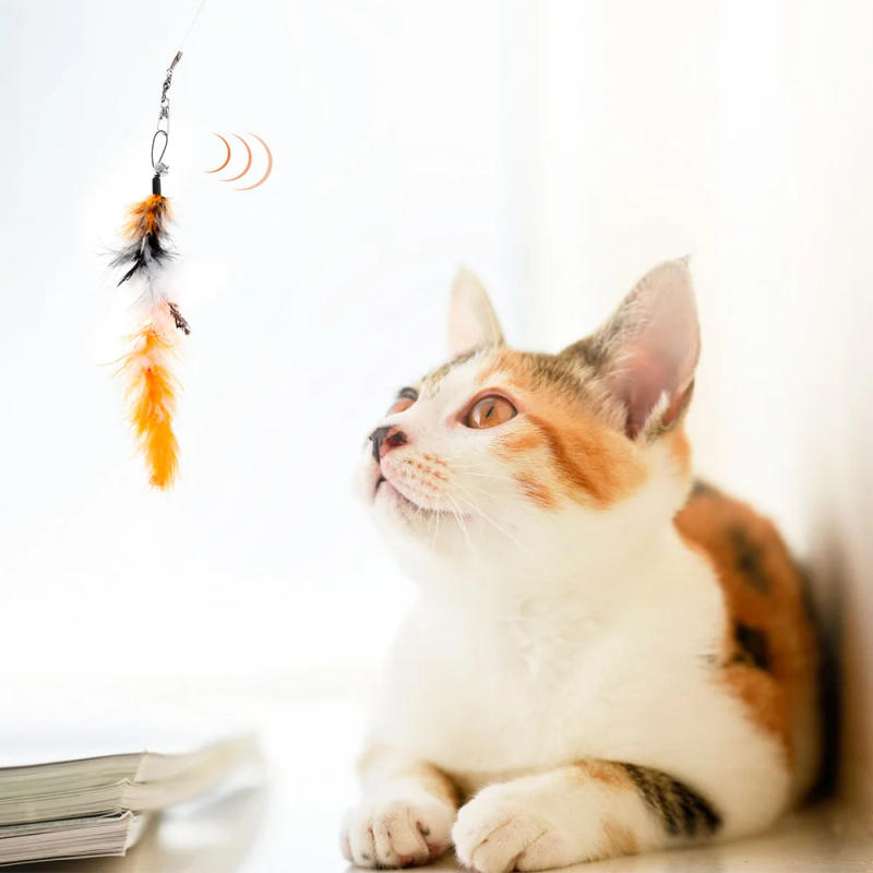 Description Picture 3 of item12Pcs Cat Feather Toy Funny Cat Stick Set Feather Replacement Head Retractable Cat Stick Interactive Cat Toys