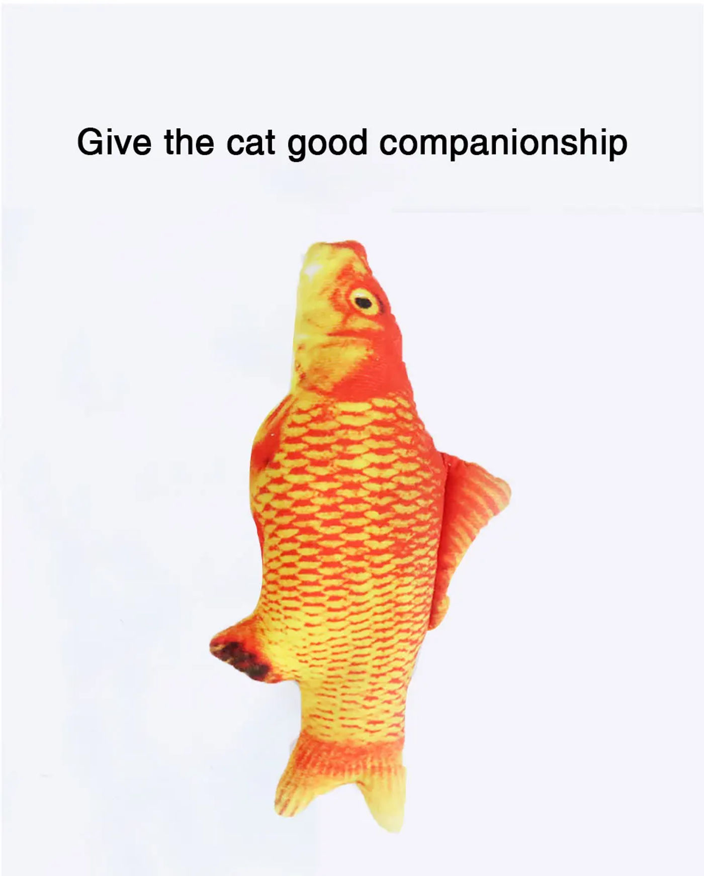 head_title lazy