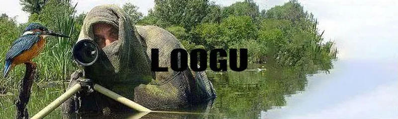 Description Picture 3 of itemCamouflage Netting Tactical Mesh Net Camo Scarf for Wargame Sports Hunting Shooting Wild Photography Sniper Camo Mesh Scarves