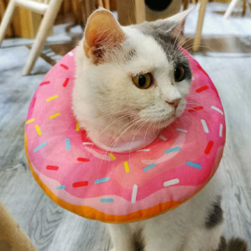 Pet Cat Donut Headgear Elizabeth Pet Protection Collars Recovery Cone Adjustable Cotton Blends Neck Prevent Bite Protection Coll