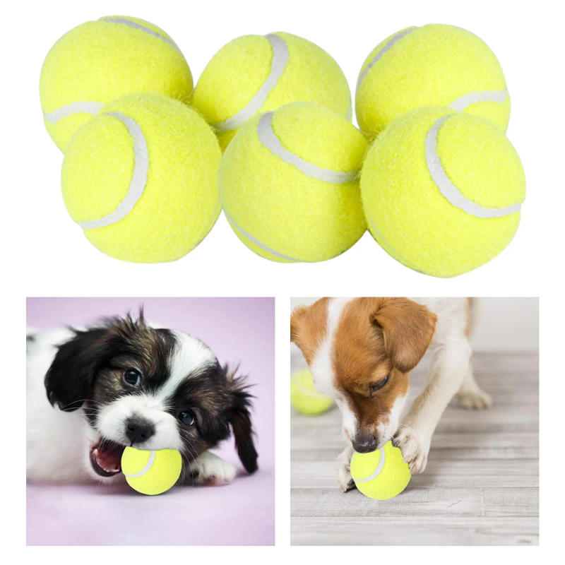Description Picture 2 of item6Pcs Tennis Balls High Bounce Practice Training Outdoor Elasticity Durable Tennis for Dogs Bite Chase and Chomp 5cm Dog Ball