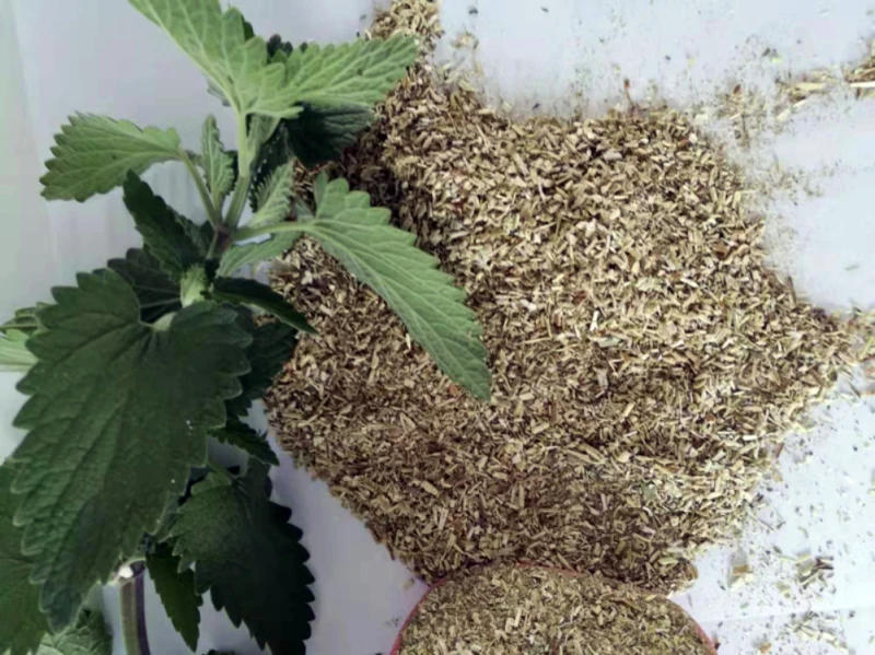 Description Picture 6 of itemRaising Cats Supplies Cat Chews Products For Cats Of All Ages 5g Cat Supplies Raising Cats Tools Cat Mint Leaf Powder Bagged