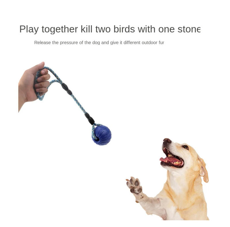 Description Picture 3 of itemPet Molar Bite Toys Dog Rubber Chew Balls Cleaning Teeth Puppy Biting Toy Outdoor Traning Fun Playing Rope Ball Toy For Dog Cat