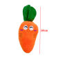 carrot