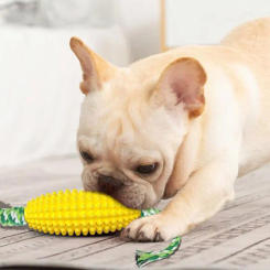 Soft Bone Shape Molar Cat Toys Puppy Pet DogTugging Rubber Chew Dogs Supplies