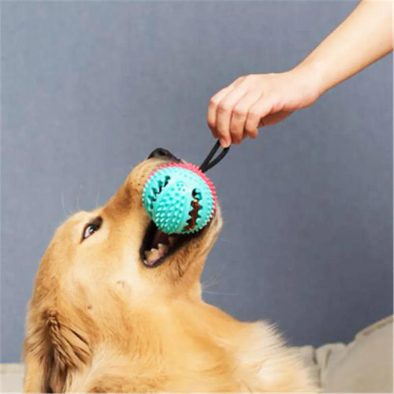 Description Picture 2 of itemNon-toxic Pet Dog Molar Bite Ball Food Slowly Feeder Toy Pet Tug Rope Chewing Toys Pet Dog Tooth Cleaning Toys With Suction Cup