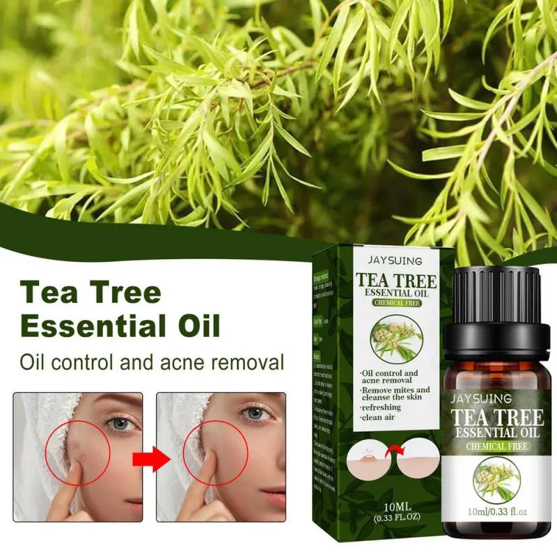 Description Picture 5 of itemPure Tea Tree Oil 100 Natural Tree Tea Oil Drops Activate Skin Cells Pore Shrinkage Essential Oils For Aromatherapy Diffuser