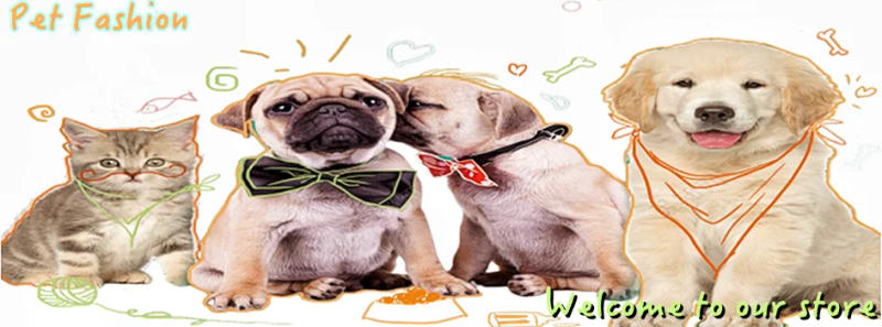 Description Picture 2 of itemPlush Cat Toy Cartoon Cat Spring Toy Cat Stick Feather Rod Catcher Teaser Multicolored Interactive Toy Insert Scratch Board