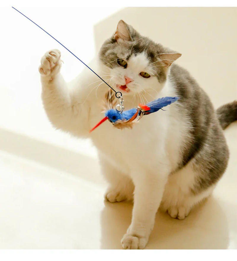 Description Picture 6 of itemNew Handfree Bird/Feather Cat Wand with Bell Powerful Suction Cup Interactive Toys for Cats Kitten Hunting Exercise Pet Products