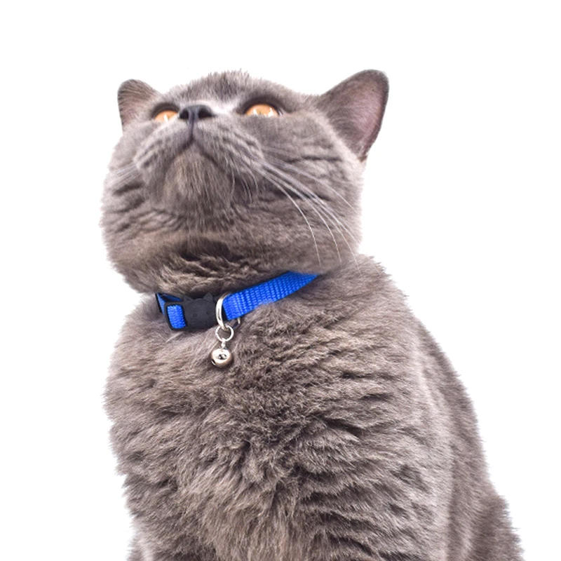 Description Picture 6 of itemPolyester Cute Wind Cat Face Buckle With Bell Cat Collar One Size Multicolor Optional