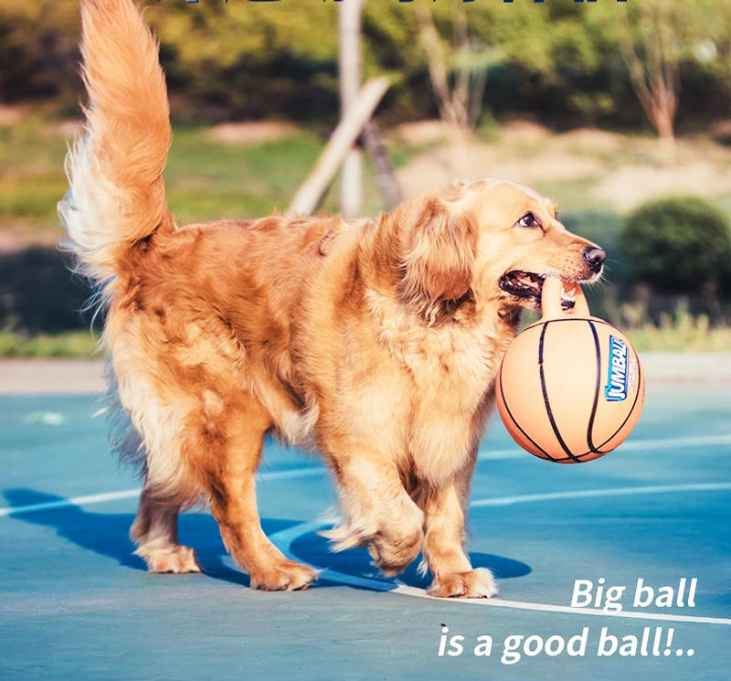 Description Picture 2 of itemNew Dog Toy Ball Rubber Handle Interactive Training Ball Juguetes Para Perro Medium and Large Dog Pet Supplies