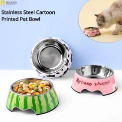 Stainless Steel Pet Bowl Cartoon Printing 2-in-1 Dog Cat Food Feeder Imitation Ceramic Detachable Non Slip Bowls Pet Supplies