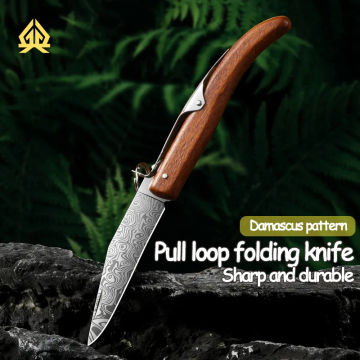 XTL Portable knife, collectible knife, barbecue knife, high-end fruit knife, folding knife, pocket knife, fishing knife