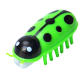 green ladybug