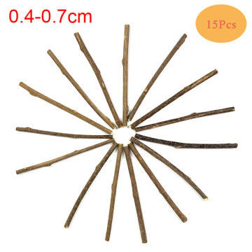 10/15/20pcs/lot Natural Matatabi Pet Cat Snacks Sticks Cleaning Tooth Catnip Cat Toys Actinidia Silvervine Pet Toy For Cats