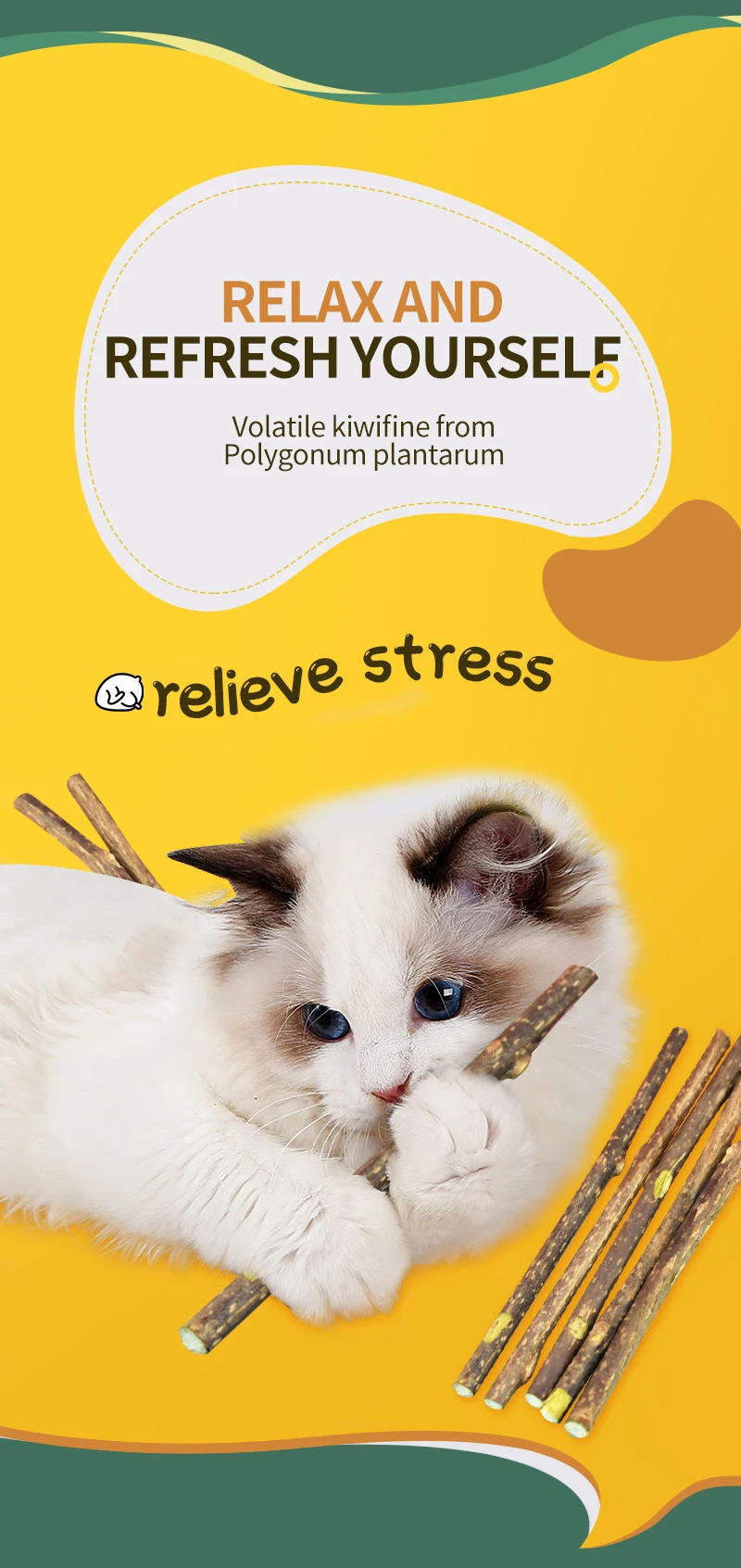 Description Picture 5 of itemNatural Catnip Pet Cat Molar Toothpaste Stick Pet Cat Kitten Chew Toys Stick Fruit Matatabi Cat Snacks Sticks Pet Cleaning Teeth