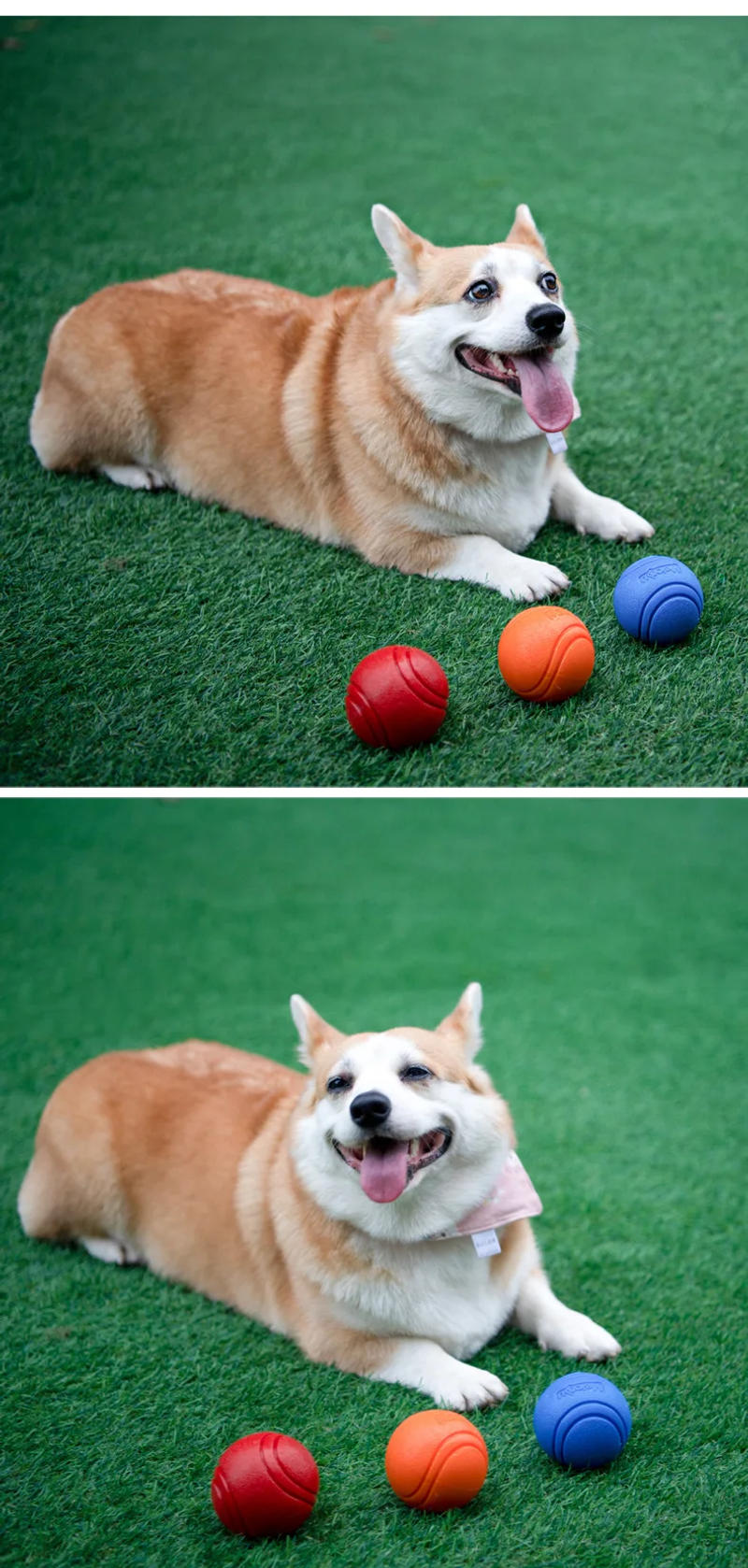 Description Picture 6 of item1PC Pet Dog Ball Bouncy Rubber Solid Ball Resistance To Dog Chew Toys Outdoor Throwing Recovery Training for Dogs Pet Supplies