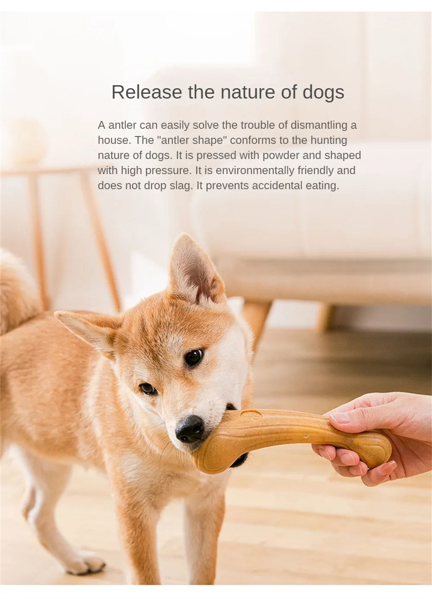 Description Picture 4 of itemPet Dog Chew Toys Antlers Molar Teeth Clean Stick Cute Bone Shape Interactive Toy Pet Game Care Stick Non-Toxic Pet Supplies