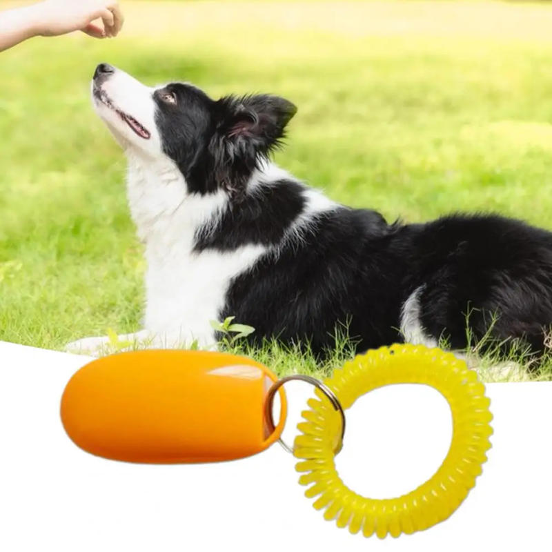 Description Picture 5 of itemPet Training Clicker Convenient Stop Barking Exercise Professional Recall Dog Training Clicker Tool for Yard