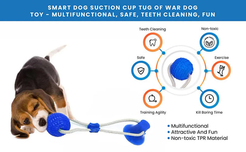 Description Picture 2 of itemMultifunction Pet Molar Bite Dog Toys Rubber Chew Ball Cleaning Teeth Safe Elasticity TPR Soft Puppy Suction Cup Biting Dog Toy