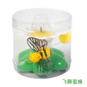 Pet Dog Cat Funny Rotating Flying Bird Butterfly Around Flowers Bee Kitten Interactive Toys Intelligence Trainning