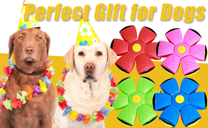 Description Picture 3 of item2023 New Pet Dog Toy Magic Flying Saucer Ball Durable Soft Rubber Interactive Throwing Ball Outdoor Sport Dog Training Equipment