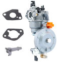 P21A-LPG CNG Dual FuelCarburetor Assembly With Curved Handle For Honda GX240 173F GX270 177F 3KW 9HP Water Pump Generator