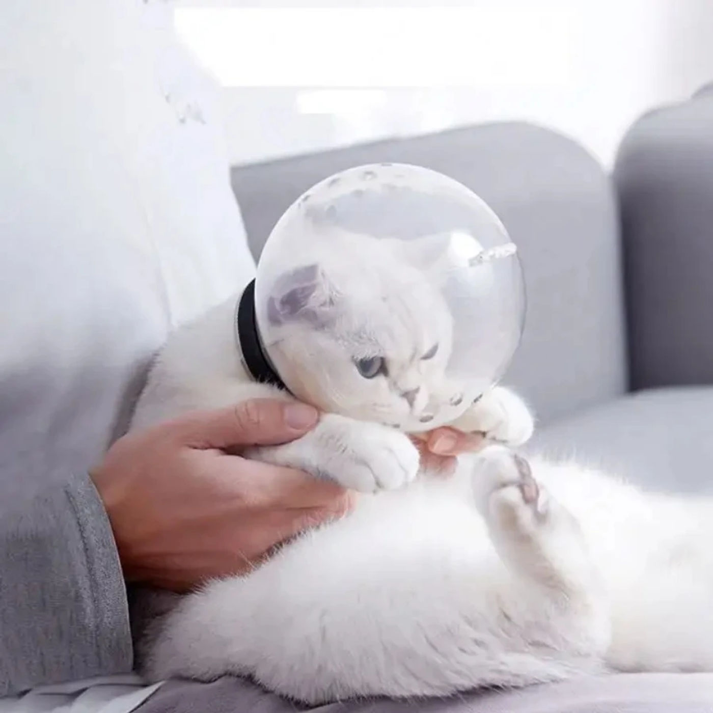 Description Picture 2 of itemHot Selling Breathable Anti-Bite Protective Space Pet Grooming Mask Non Toxic Resin Cat Muzzle