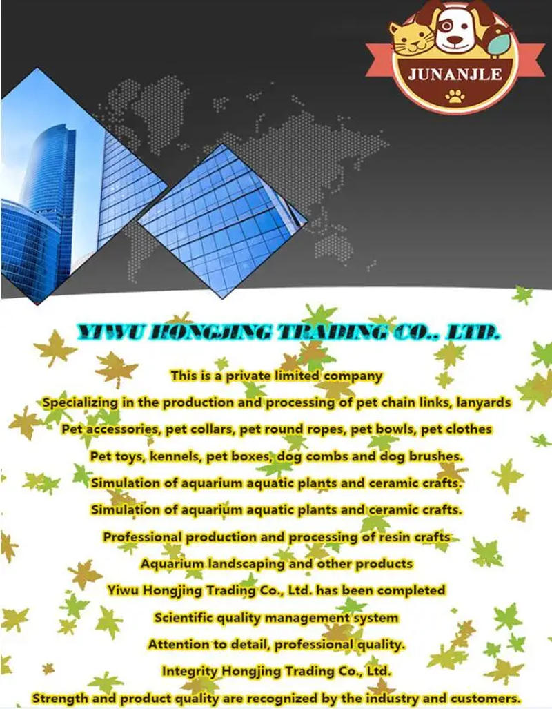 Description Picture 3 of itemOutdoor Interactive Game for Puppy, Pet Flying Discs, EVA Dog Training Ring, Puller Resistant Bite Floating Toy, 18cm