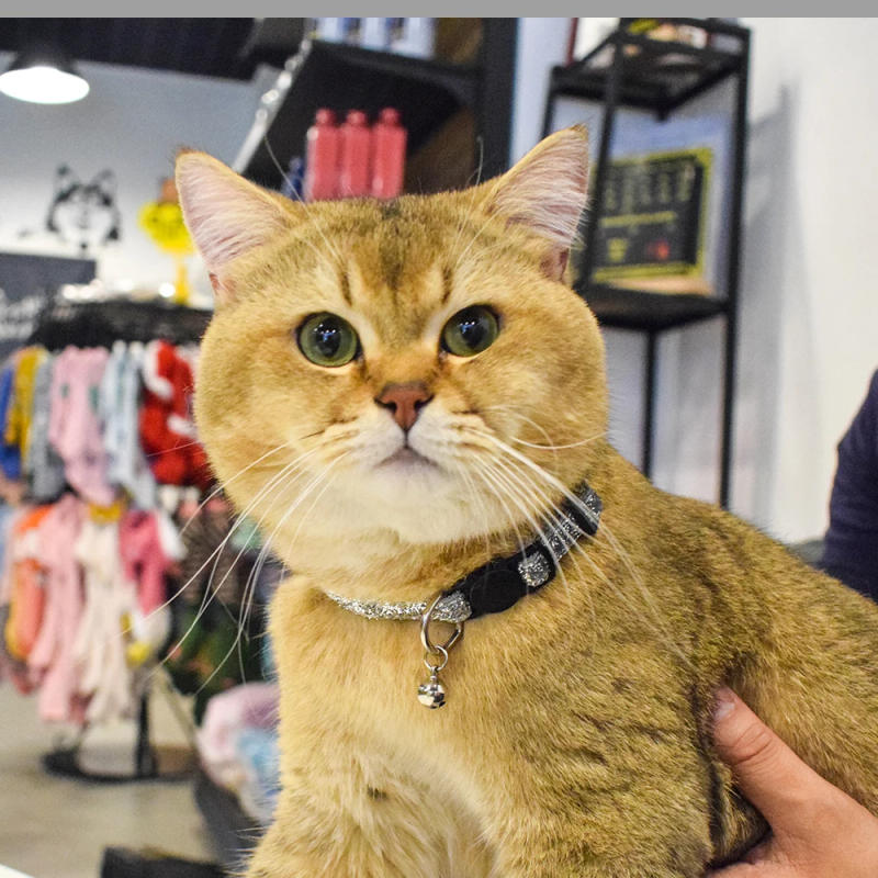 Description Picture 2 of itemPolyester Cute Wind Cat Face Buckle With Bell Cat Collar One Size Multicolor Optional