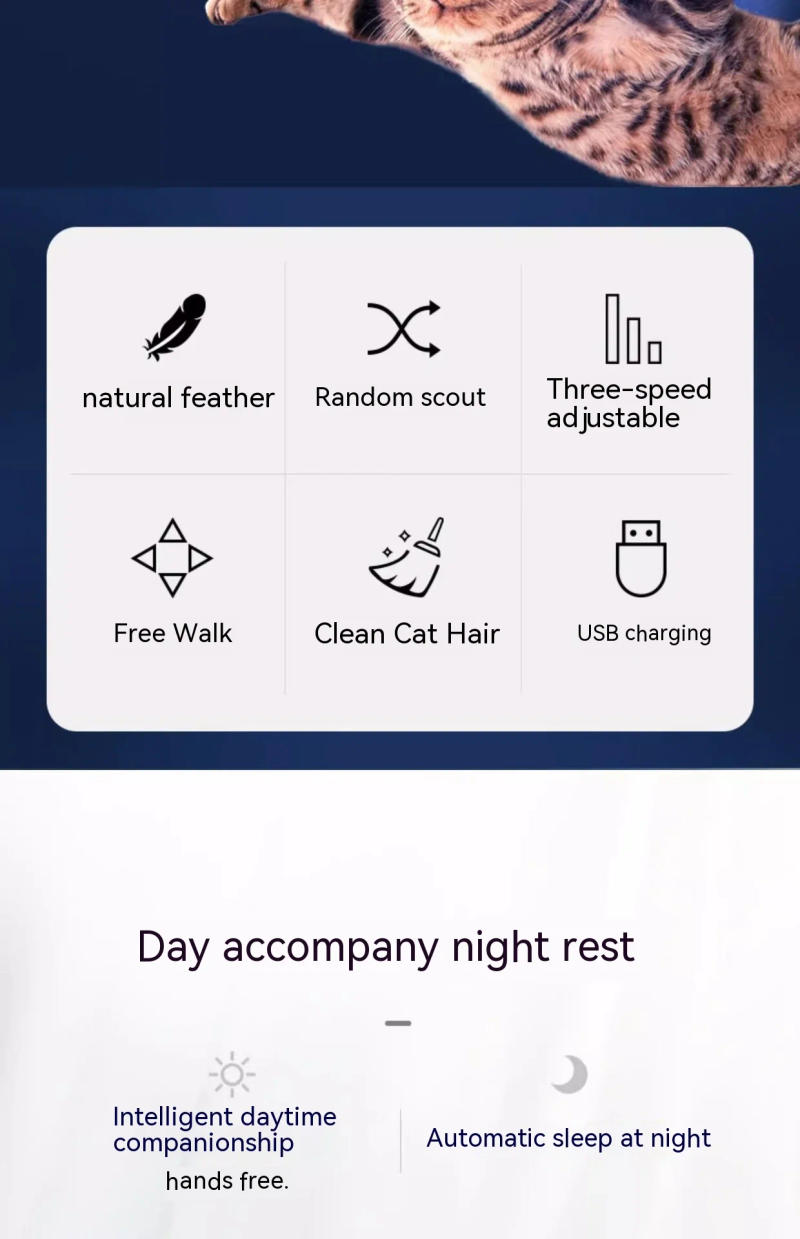 Description Picture 3 of itemPet Ufo Cat-Teasing Stick Cat Gravity Saucer Intelligent Cat-Teasing Artifacts Dog Dog Puppets Cat Toys, Cat-Teasing Disc Toys