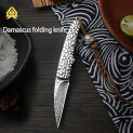 XTL Damascus steel knife, outdoor portable knife, portable knife, multi-functional fruit knife, folding knife, gift box