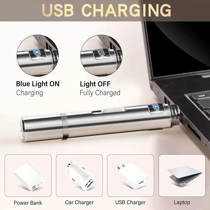 Description Picture 4 of item3 in 1 Cat Playing Pointer Pen USB Cat Torch Toy Red Purple White LED Light Rechargable Cat Laser Toys Flashlight Cat Toy