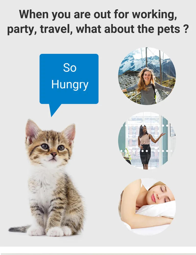 Description Picture 2 of item4L WiFi Pet Smart Automatic Feeder Timing for Cats and Dog Stainless Steel Bowl Camera Voice Record Easy to Observe Surplus Food