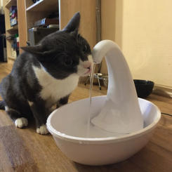 Automatic Cat Water Dispenser Swan Flowing Fountain For Cat Dog Electric Pet Water Dispenser Cat Drinking Bowl Feeding Water