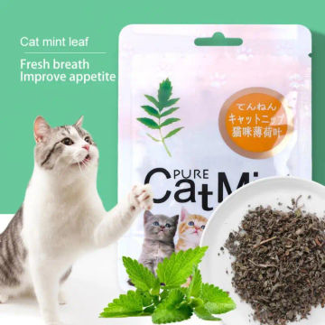 Bagged Cat Mint Leaf Powder Raising Cats Tools Caring For The Stomach Cat Mint Toys 5g Cat Mint Raising Cats Supplies Natural