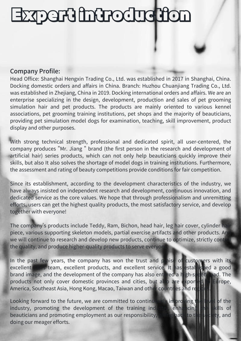 Description Picture 6 of itemMr.jiang  modle model Pet Teacher Beauty Modeling Practice Dog Model Standard Skeleton Model Dog Whole Body Fake Hair