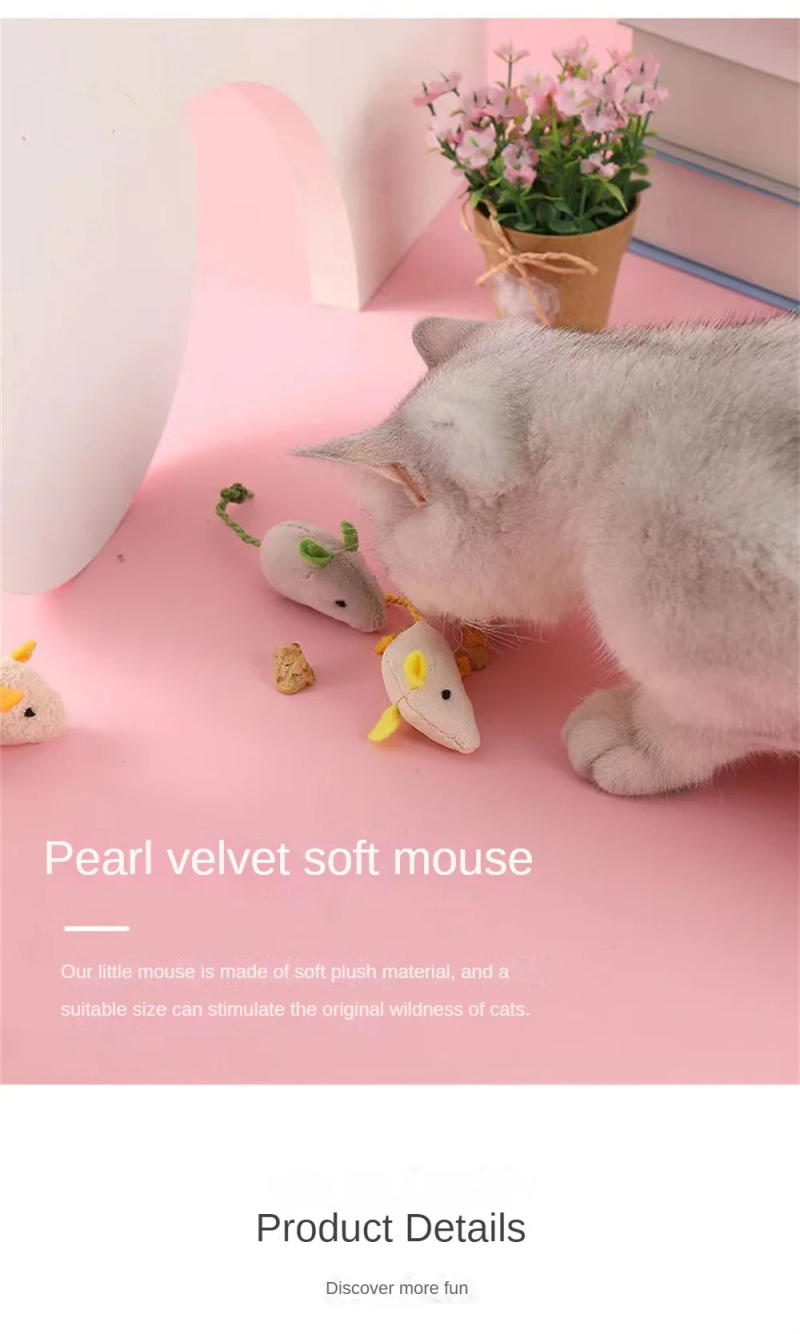 Description Picture 5 of itemKitten Toy Cute Modeling Creative Home Accessories Mouse Toy Interactive New Pet Supplies Cat Toy Bite Resistance Pet Products