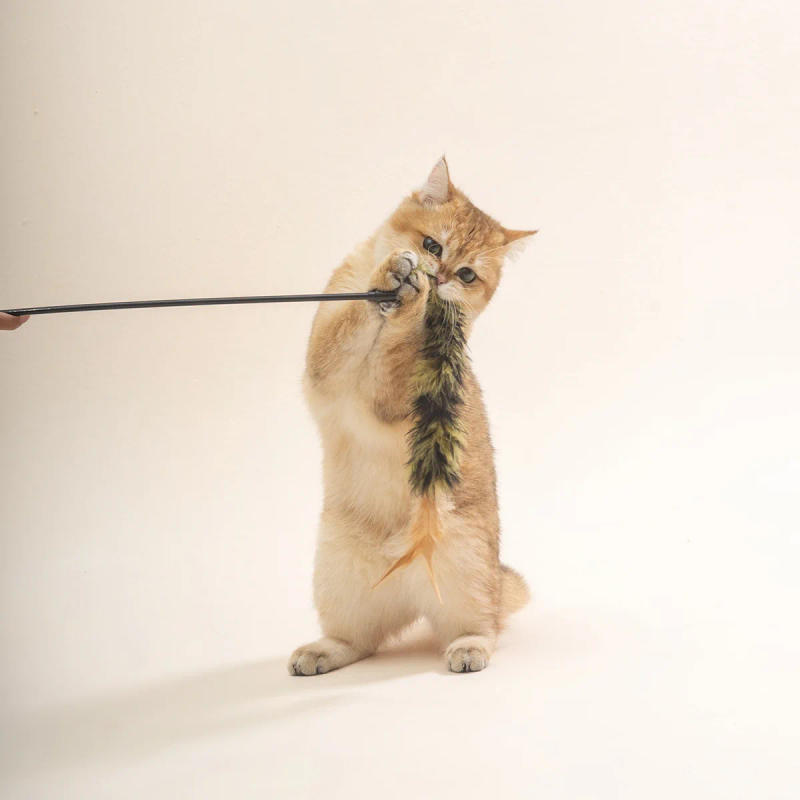 Description Picture 2 of itemNew Cat Tassel Fun Stick for Fun and Interactive Cat Toys Multiple Pet Supplies Wand Feather Rod with Bells 1PCS Random Color