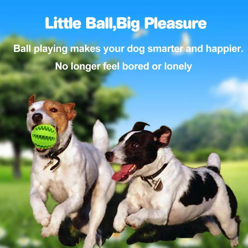 Description Picture 2 of itemToys for Dogs Rubber Dog Ball for Puppy Funny Dog Toys for Pet Puppies Large Dogs Tooth Cleaning Snack Ball Toy for Pet Products