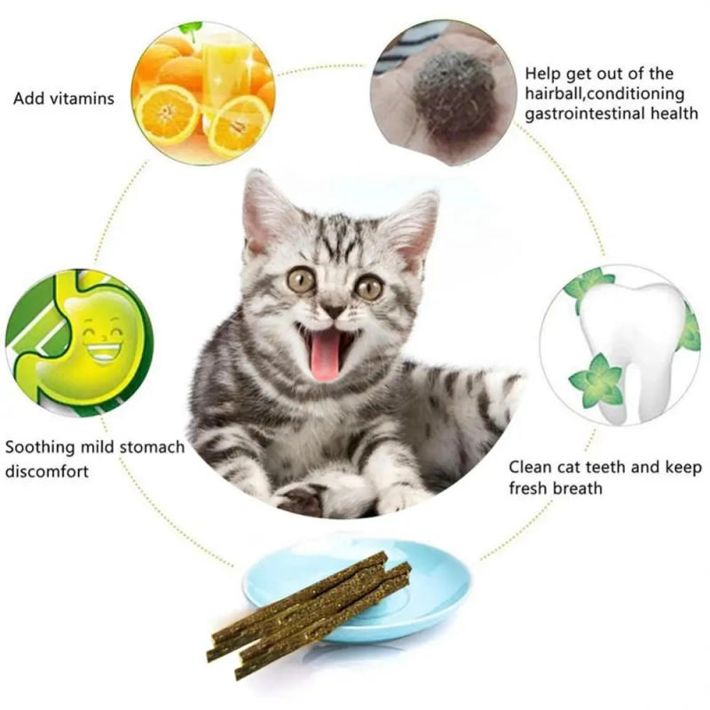 Description Picture 5 of item6 Sticks/box Cat Chews Products All Natural Catnip Sticks Wood Tengo Molar Sticks Teeth Cleaning Cat Sticks For Cats Of All Ages