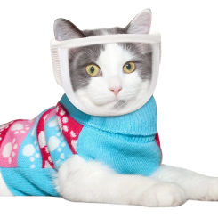 Cat Muzzle Adjustable Dogs Cats Breathable Anti Bite Muzzles Mask Prevent Cats from Biting and Chewing Pet Grooming Supplies