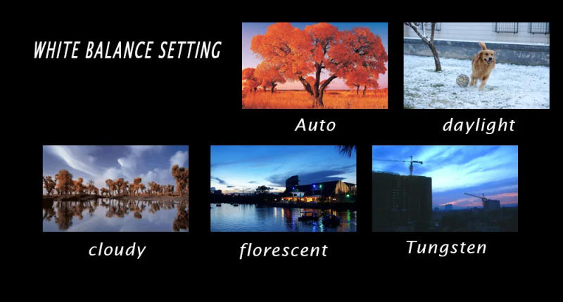 Description Picture 4 of item16 Million Pixel Home Digital Camera Children's Camera Gift Digital Camera Manufacturer