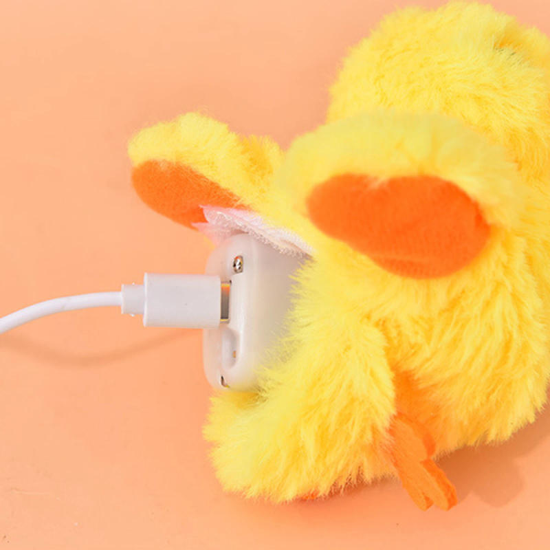 Description Picture 6 of itemCat Squeaky Ball Training Durable KICKER Toys for Indoor Cats Kitten Playing Chewing Toys Interactive Ball Cat Training Pet Accs